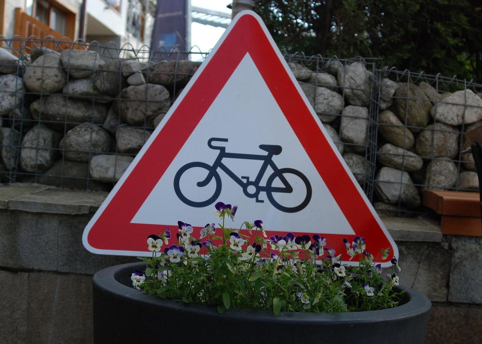 White Lavina - Ski, Bike, Hike 班斯科 外观 照片