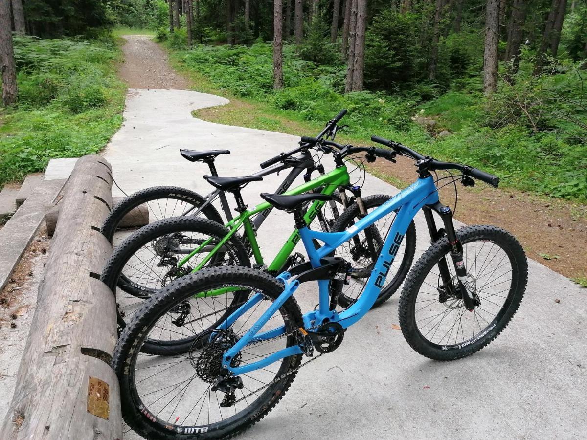 White Lavina - Ski, Bike, Hike 班斯科 外观 照片